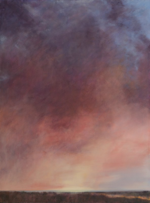 Skyfire